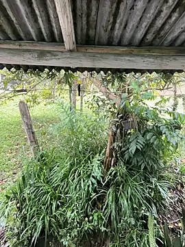 Monahliza online show from March 12, 12:55 pm