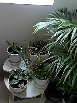 Snapshot of Rouse_hot_ chatting on January 10, 6:09 pm Rouse hot online show from January 10, 6:09 pm