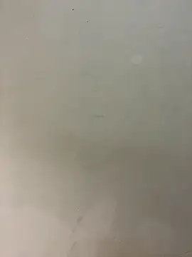 Snapshot of bigass256 chatting on February 14, 5:04 am bigass256 online show from February 14, 5:04 am