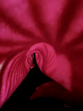 DesiAnita3693 online show from November 21, 3:38 am