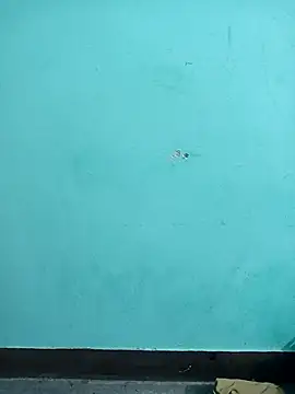 Snapshot of Sexacock01 chatting on February 4, 11:16 am Sexacock01 online show from February 4, 11:16 am