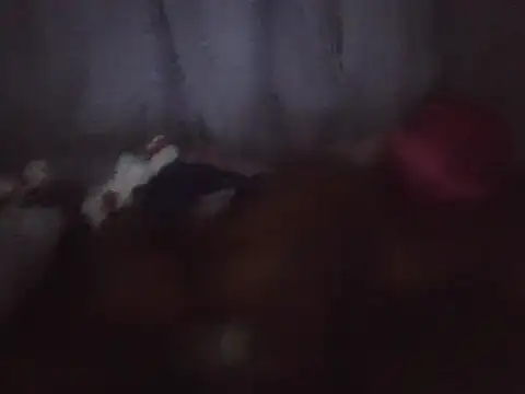 blackdickjeckmmm online show from December 4, 2:43 am