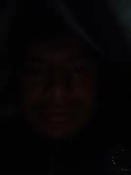 cristiaDior online show from December 18, 2:17 am
