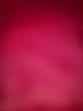 starnighcouple online show from December 16, 5:29 pm