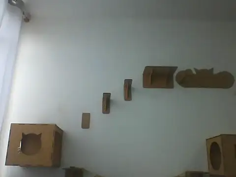 Snapshot of Temp7 chatting on March 8, 11:36 am Temp7 online show from March 8, 11:36 am