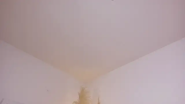 Snapshot of am_berr chatting on December 13, 7:53 pm am berr online show from December 13, 7:53 pm