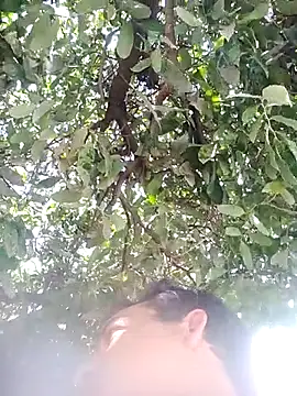 nori dunda online show from December 17, 6:47 pm