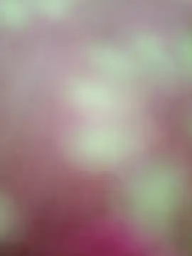 Nandani-758 online show from February 20, 9:00 am