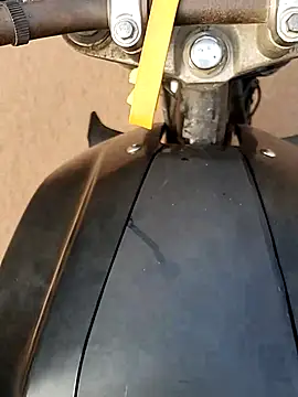 Meow buggie online show from December 23, 2:53 am