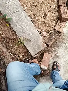 apka rockstarr online show from December 21, 11:06 am