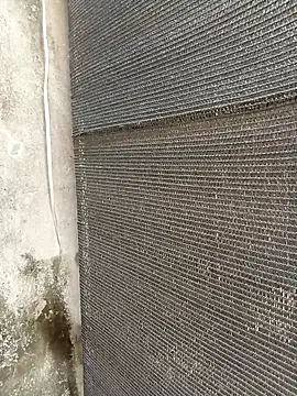 lynae-0 online show from December 21, 8:21 am