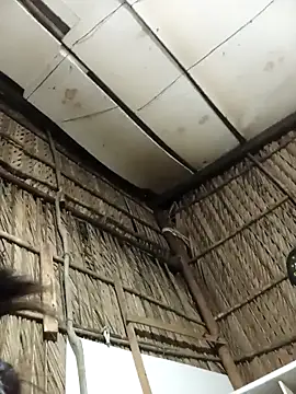 Lin-kute98 online show from February 4, 1:06 pm