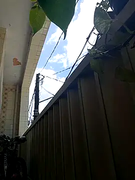 wakahoe online show from April 8, 1:33 pm