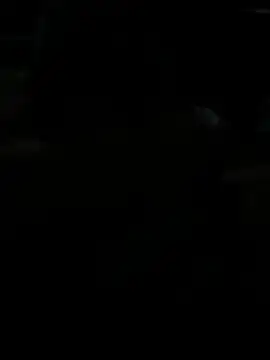 BigDick-A-Money online show from April 28, 7:30 pm