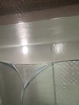 Snapshot of muti99 chatting on February 8, 12:52 pm muti99 online show from February 8, 12:52 pm