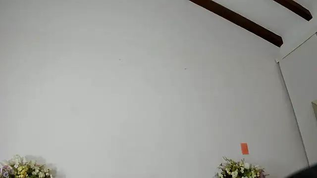 IsaSantoDomingo online show from January 17, 10:57 pm