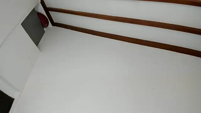 IsaSantoDomingo online show from February 3, 6:35 pm