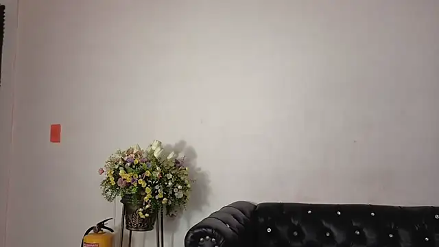 IsaSantoDomingo online show from February 7, 10:46 pm