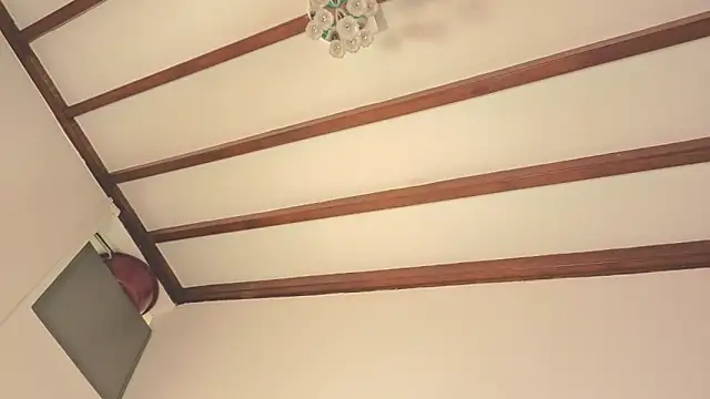 IsaSantoDomingo online show from February 9, 6:56 pm