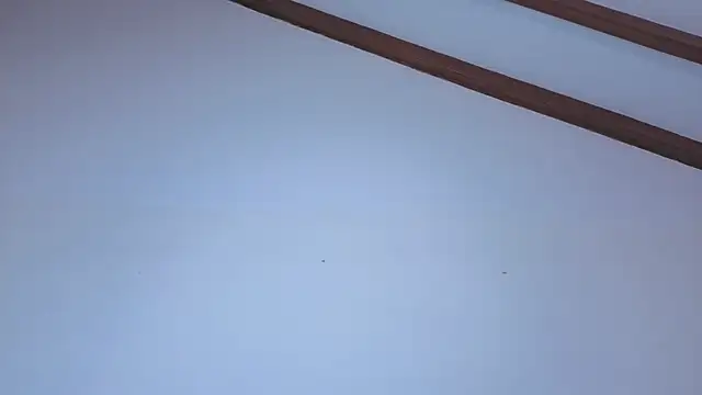 IsaSantoDomingo online show from February 10, 6:45 pm