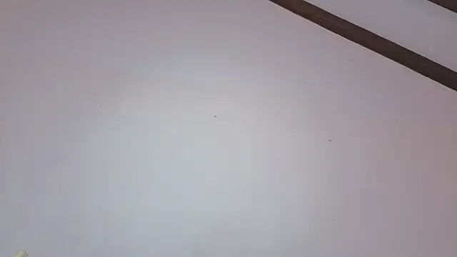 IsaSantoDomingo online show from February 11, 7:19 pm