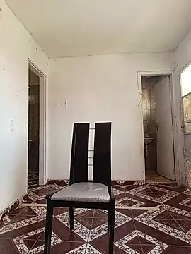 theyllorwillian online show from February 6, 5:05 pm