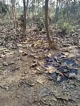 Snapshot of 88zaifkhan88 chatting on January 8, 4:37 am 88zaifkhan88 online show from January 8, 4:37 am