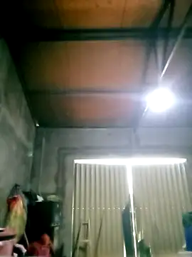 mumu661 online show from December 4, 7:39 am