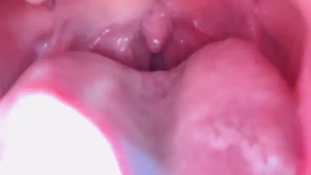 LT-333 online show from January 17, 7:17 pm