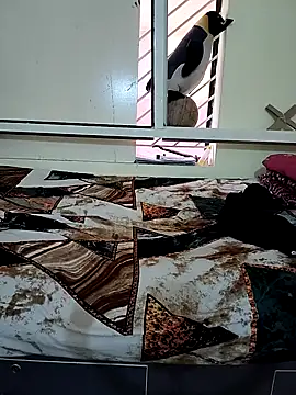 sopna845 online show from December 23, 3:59 am