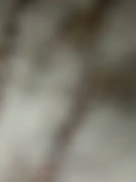 Chrisd3195 online show from February 22, 6:02 am