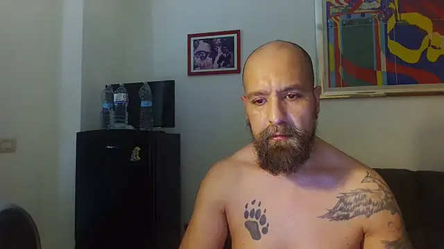 Snapshot of AMIRDIB2025 chatting on July 4, 2:01 pm AMIRDIB2025 online show from July 4, 2:01 pm