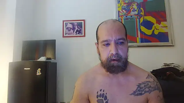 Snapshot of AMIRDIB2025 chatting on July 19, 4:33 pm AMIRDIB2025 online show from July 19, 4:33 pm