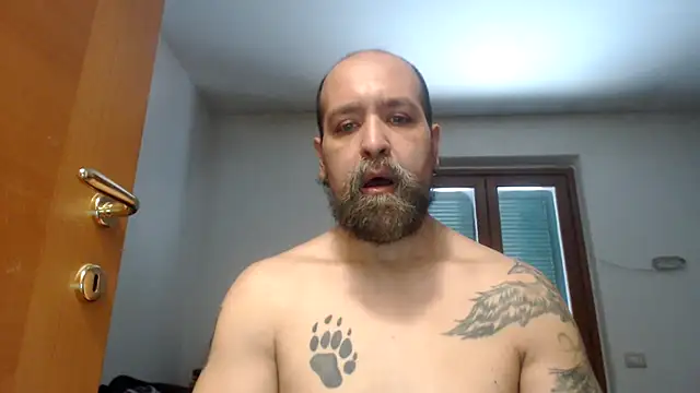 Snapshot of AMIRDIB2025 chatting on July 21, 3:25 pm AMIRDIB2025 online show from July 21, 3:25 pm