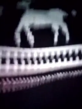 iam-eli online show from January 16, 12:14 am