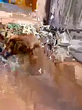 Snapshot of en93000 chatting on April 7, 5:41 am en93000 online show from April 7, 5:41 am