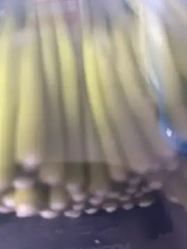 Snapshot of Ghost-Zero chatting on March 21, 11:59 am Ghost-Zero online show from March 21, 11:59 am