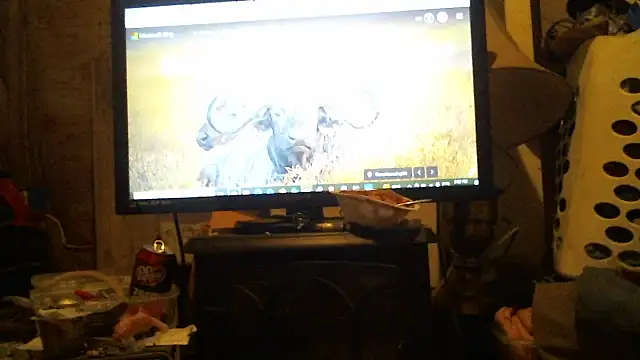 Snapshot of cannonball765309 chatting on March 28, 7:02 pm cannonball765309 online show from March 28, 7:02 pm