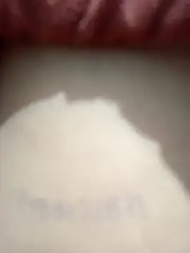 swetakumari003 online show from February 10, 7:40 pm