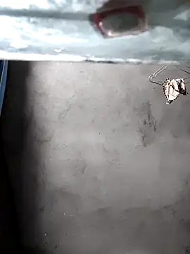 gigo-ulala online show from December 16, 1:38 pm