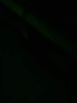 zoodangermind online show from May 17, 12:08 am