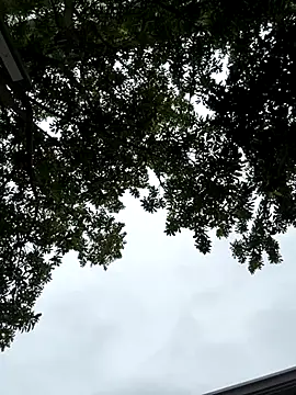 cmvoo online show from December 21, 6:53 am