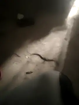 Snapshot of DanielGr27 chatting on February 5, 11:31 pm DanielGr27 online show from February 5, 11:31 pm