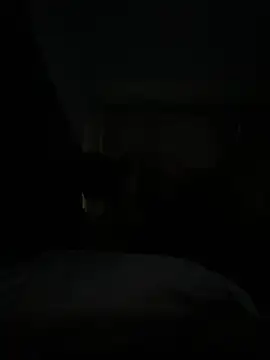 BellaSean online show from February 14, 11:45 pm