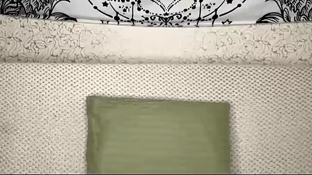 Snapshot of Shining_Robi chatting on April 10, 1:16 pm Shining Robi online show from April 10, 1:16 pm