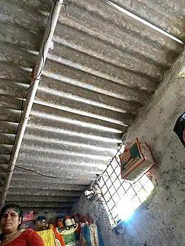 Mahi bigg online show from March 1, 9:44 am