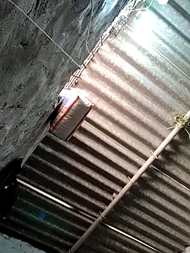 Mahi bigg online show from March 20, 9:36 am