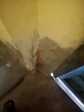 Snapshot of ahannaskar228 chatting on December 22, 9:17 am ahannaskar228 online show from December 22, 9:17 am