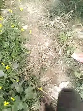 mohit08desi online show from January 19, 9:24 am