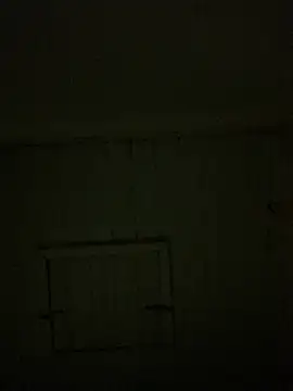 reckless 34 online show from February 7, 11:52 pm